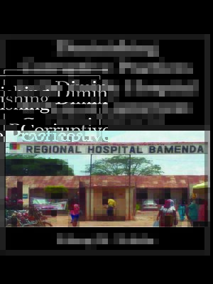 cover image of Diminishing Corruptive Practices in the Public Hospital System of Cameroon